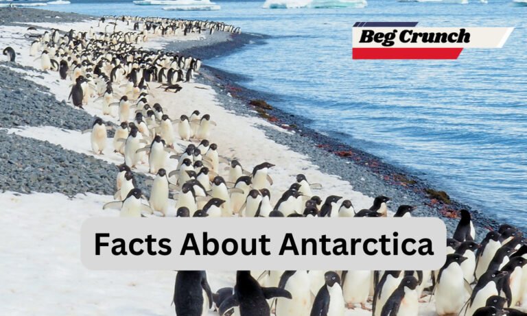 Exploring Fascinating Facts About Antarctica