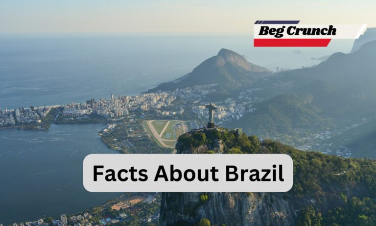 Discovering Fascinating Facts About Brazil