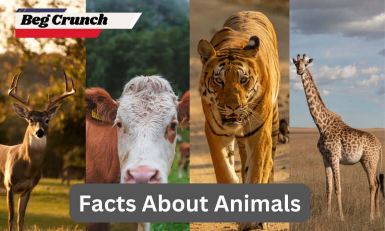 Discovering Fascinating Facts About Animals
