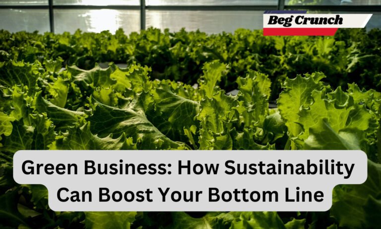 Green Business: How Sustainability Can Boost Your Bottom Line